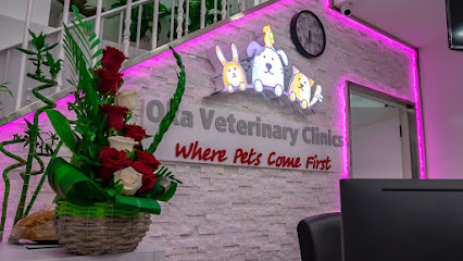 Oka Veterinary Clinic Bahrain عيادات أوكا البيطرية البحرين - Zayed Town - +973 3350 1030