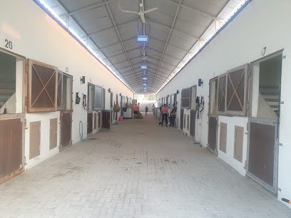 Al Aseel Equestrian Centre - Seef -