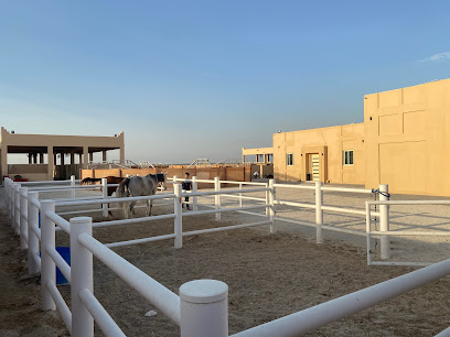 اسطبل الصافنات للقدره والتحمل - Seef - +973 3229 8811