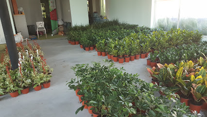 Bahrain Branch Nursery - المنامة، - +973 3927 0909
