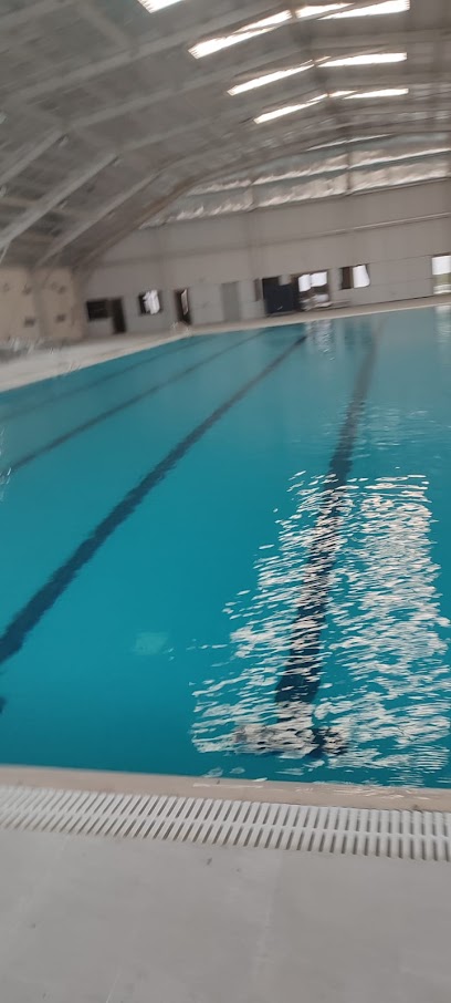 swimming pool maintenance and service - Bahrain|salmania|shop B0278 SHAIKH HAMAD AVENUE Manama/AL salmaniya 0311