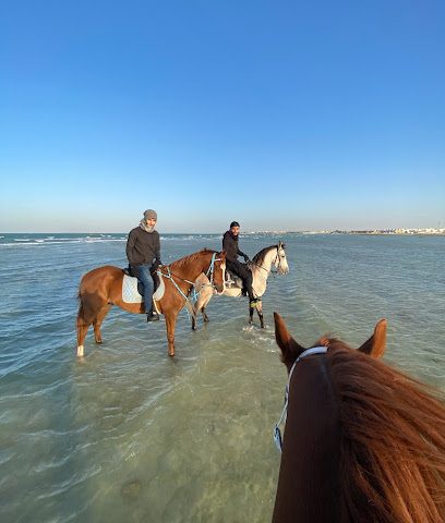 Green Stable - Seef - +973 3305 0916