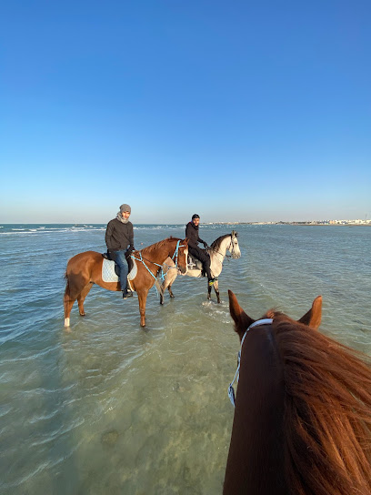 Green Stable - Bahrain|Karzakkan|Avenue 27